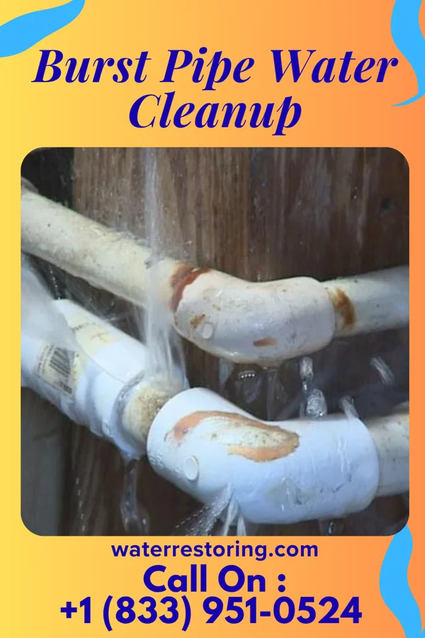 Burst Pipe Water Cleanup in Aquadale, NC